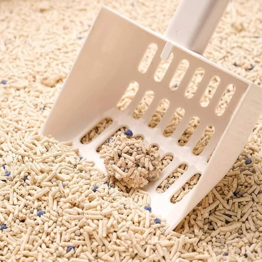 61njBtVRy8L. AC UF8941000 QL80