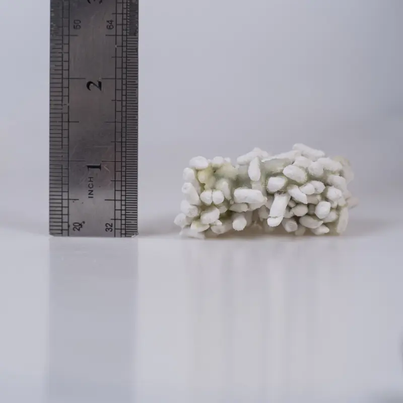 Health -monitoring- cat -litter5225