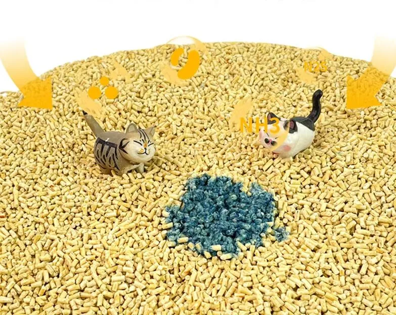 The Best PH-Testing Cat Litter 24 hours Monitor Cat Health