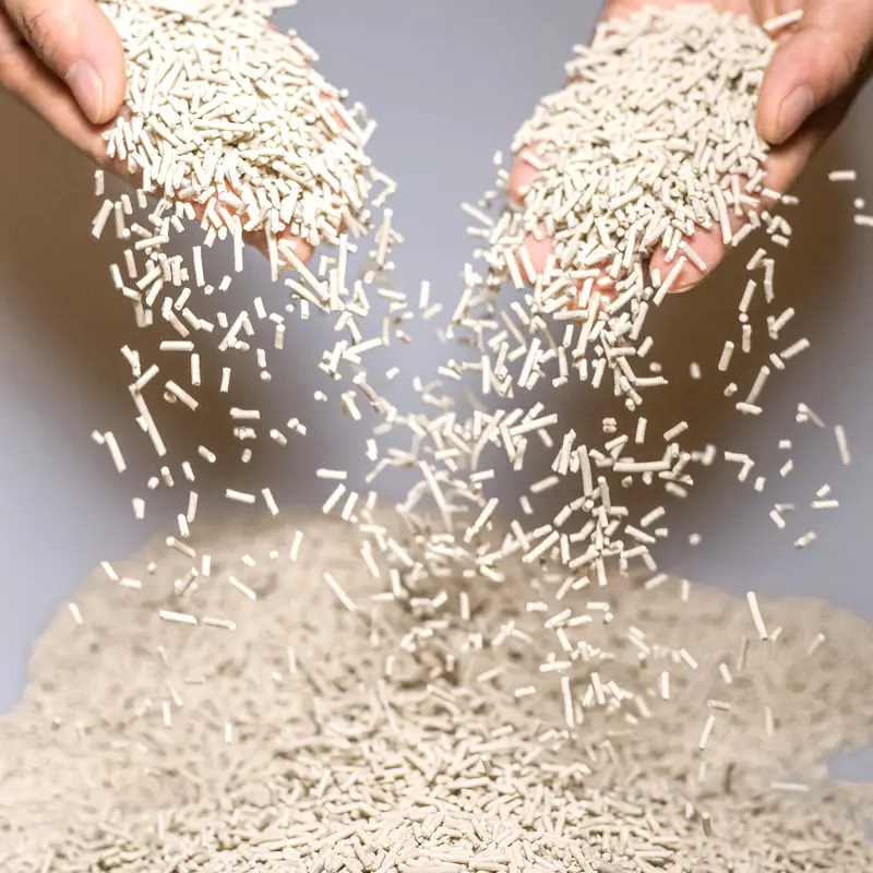 cereal- cat- litter (6)363