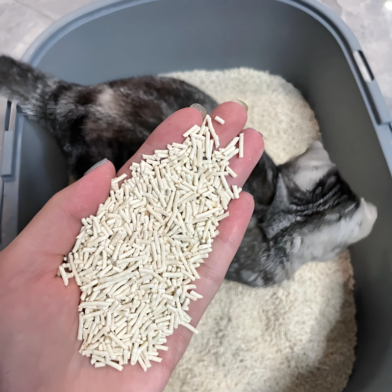 tofu cat litter1265